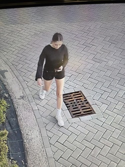 Zaginiona Amelia, fot. KMP Lublin